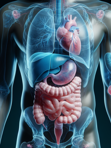 imagen de olenchic- pixabay